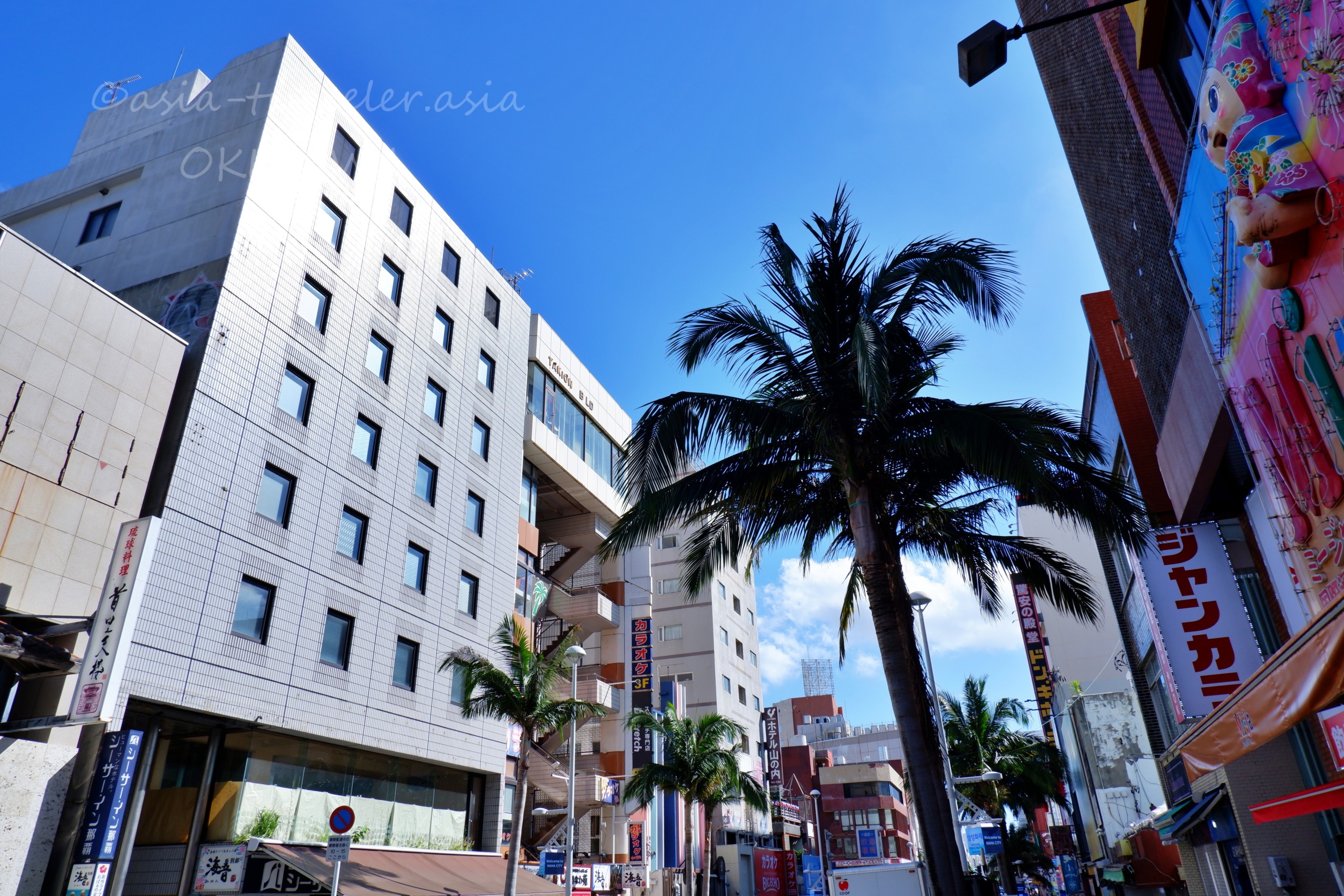 那覇・国際通りのヤシの木と街並み