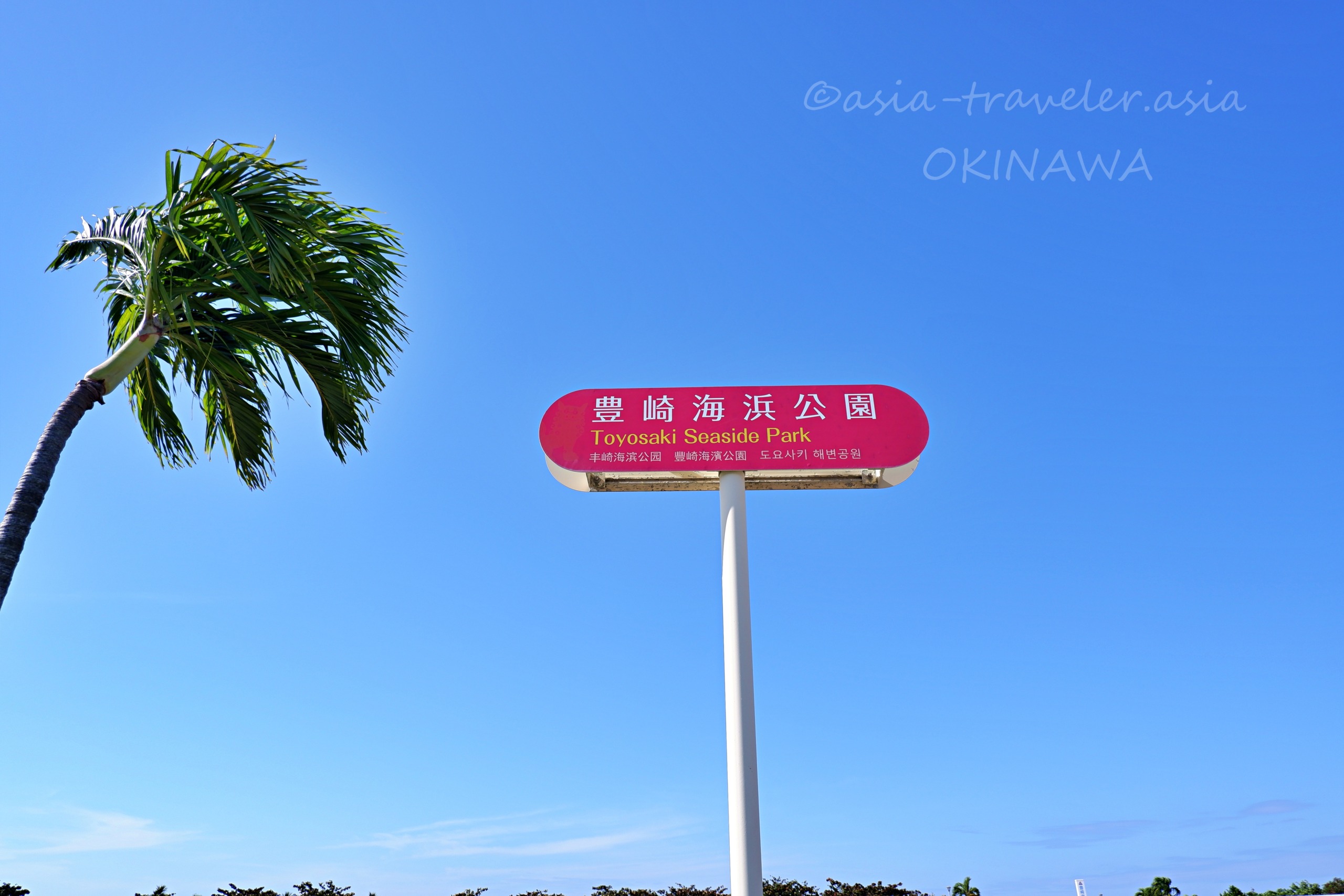 沖縄・豊崎海浜公園の看板とヤシの木