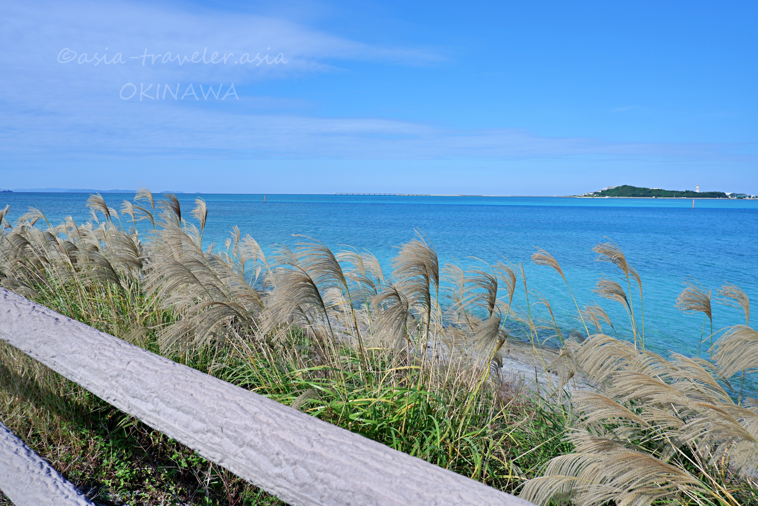 豊崎海浜公園のススキとウミカジテラスを望む青い海
