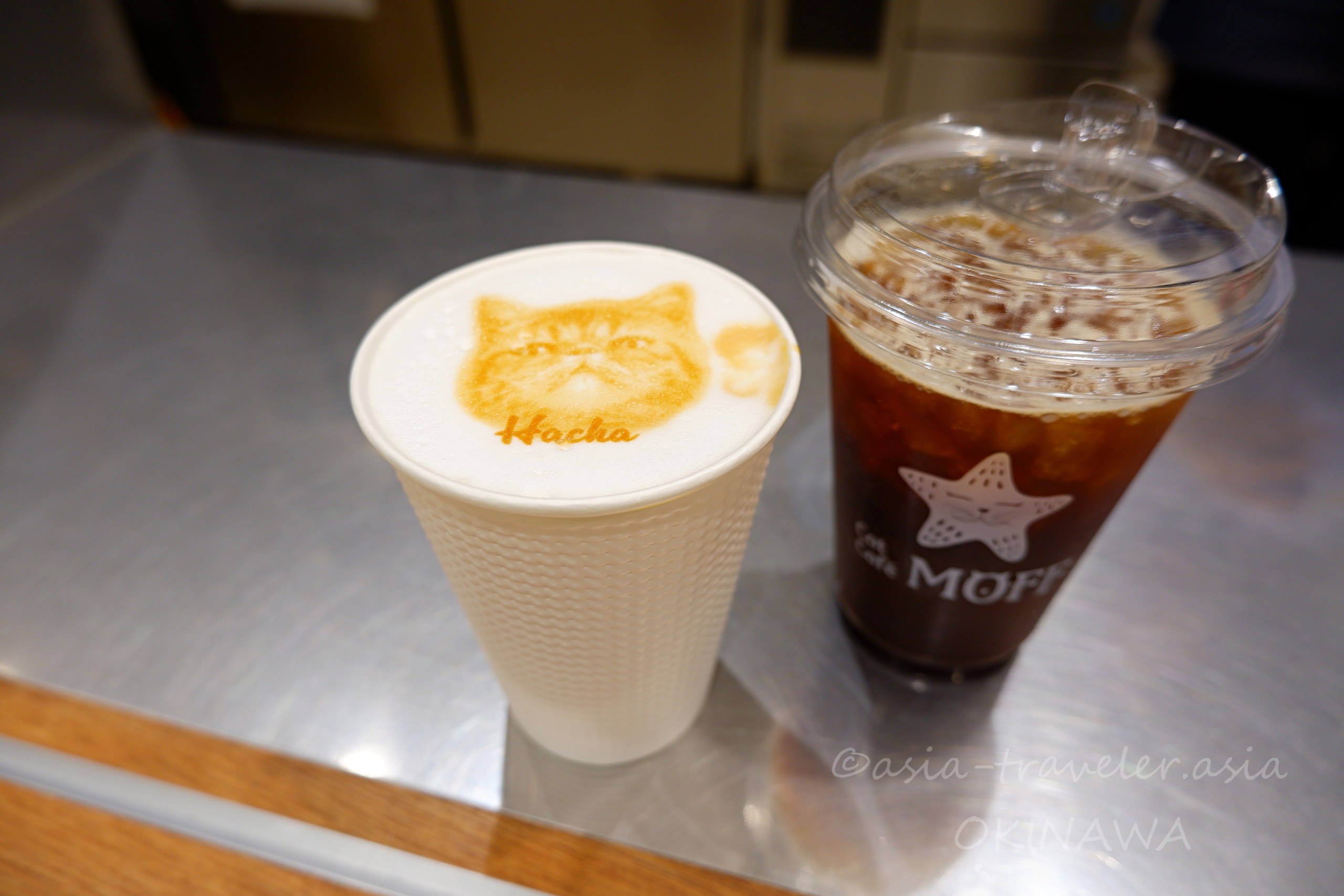 Cat Cafe MOFFのネコラテアートとアイスコーヒー2杯