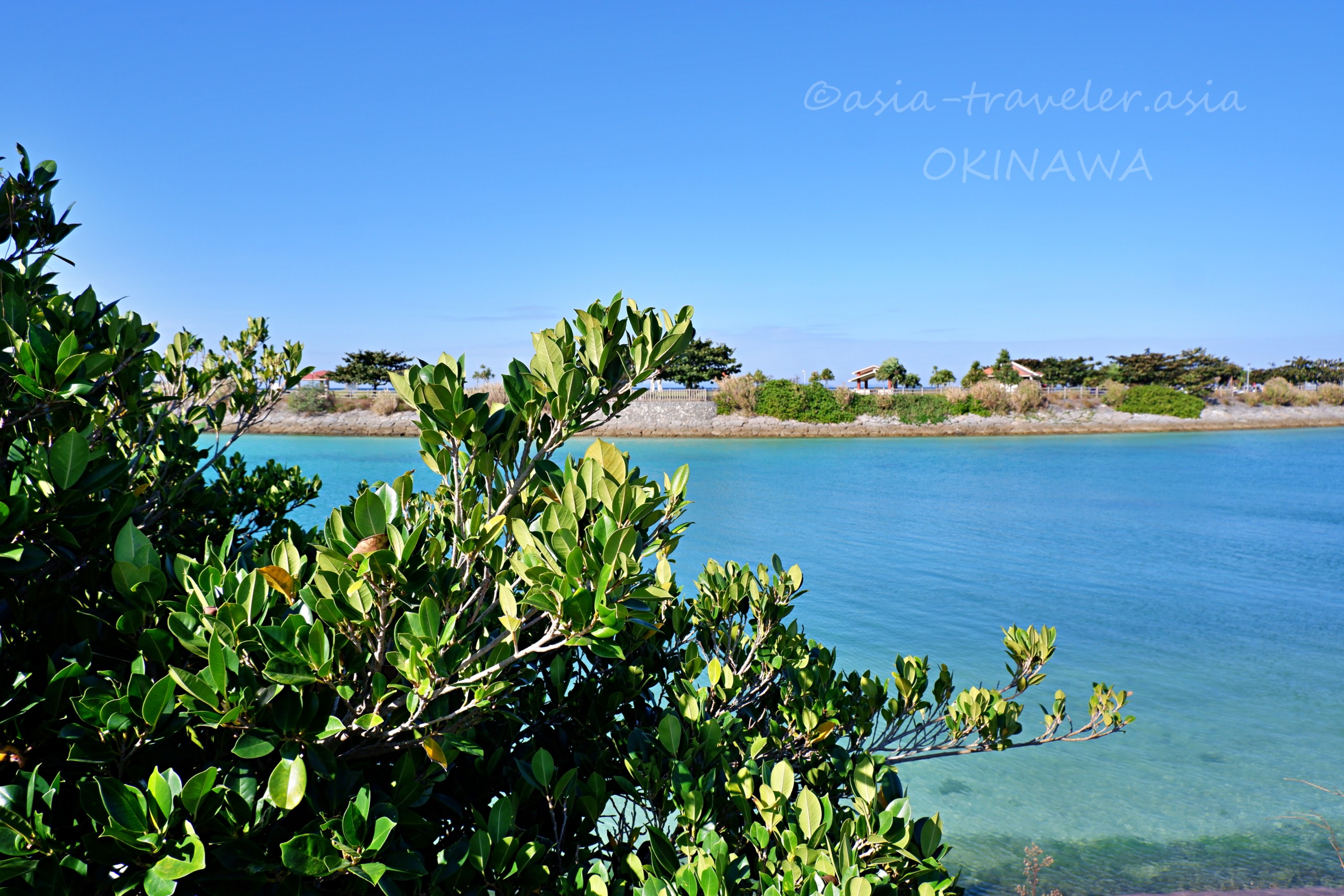 豊崎・美らSUNビーチ近くのエメラルドグリーンの海とマングローブ