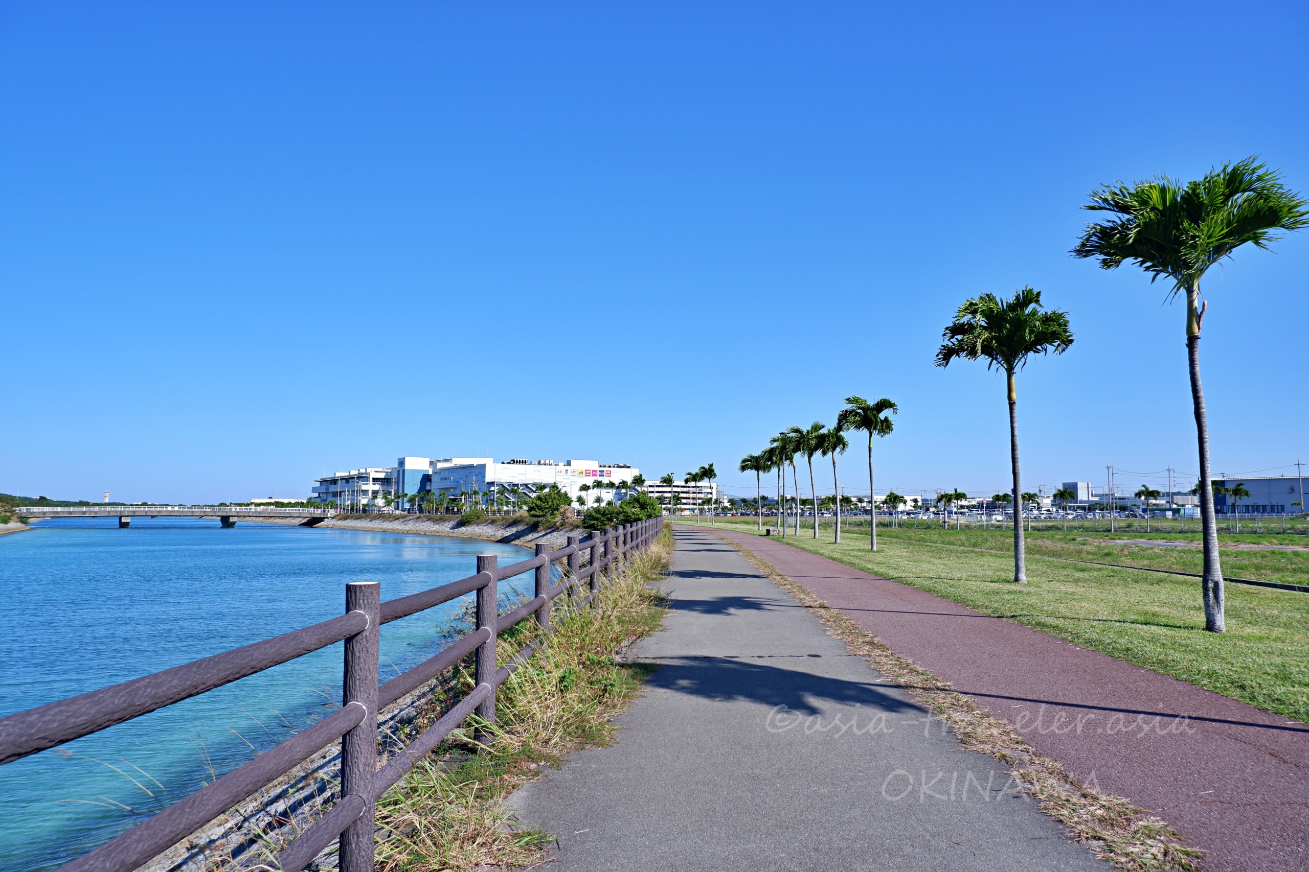 豊崎海沿い遊歩道とヤシの木並木、奥にイーアス豊崎