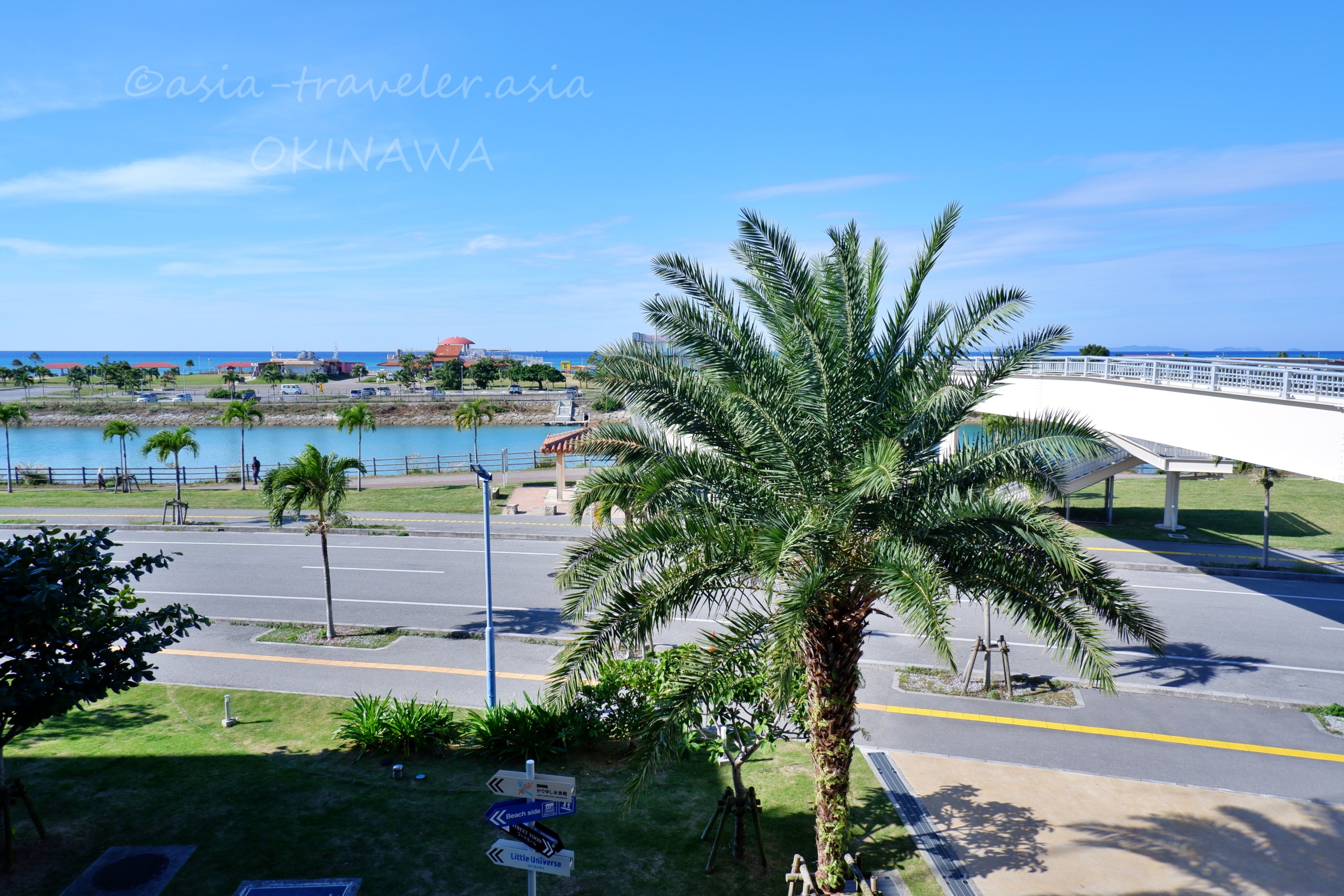 沖縄・イーアス豊崎周辺の海沿い道路とヤシの木の眺め