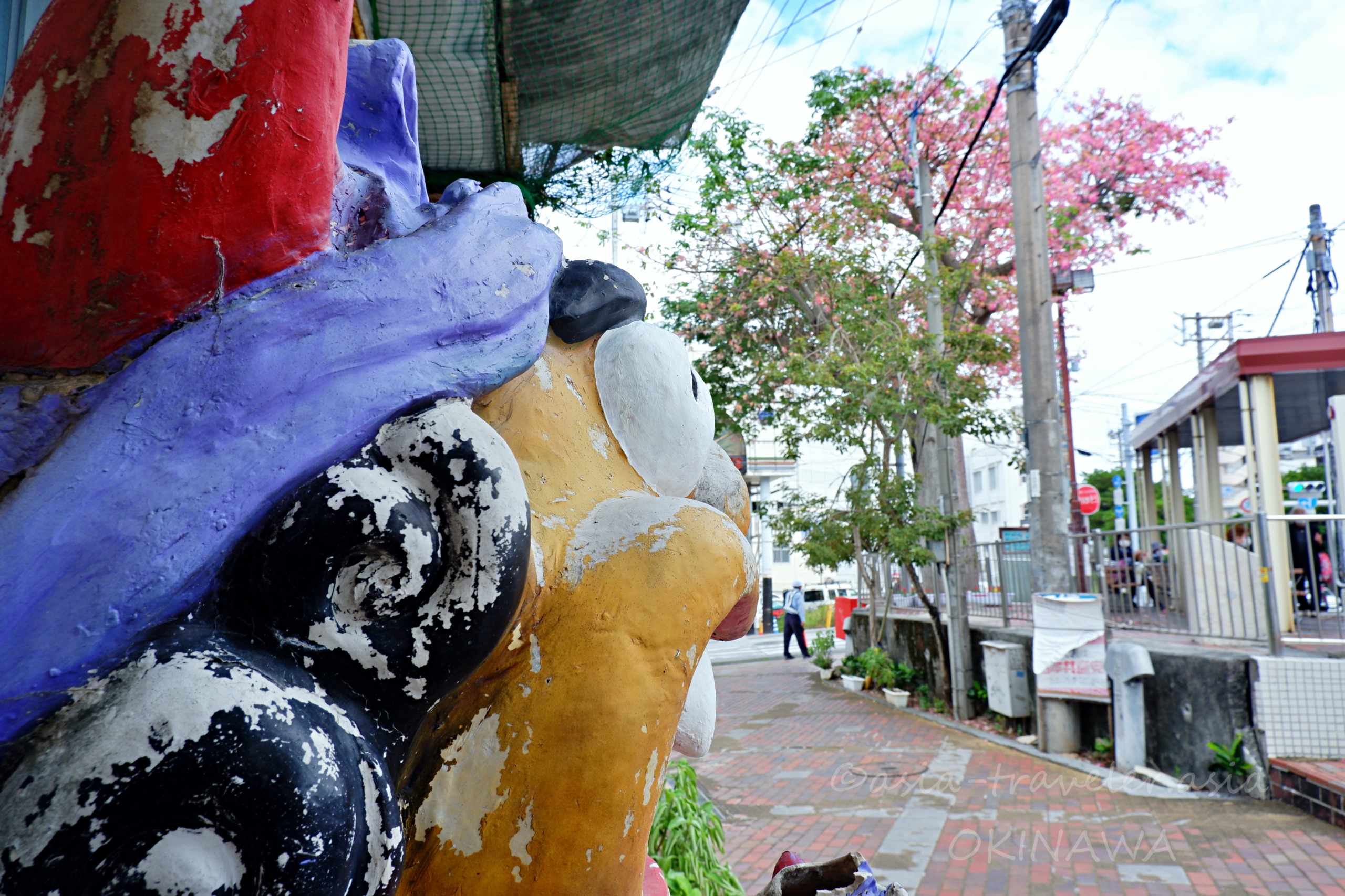 開南バス停前に咲くトックリキワタとカラフルな色落ちした像