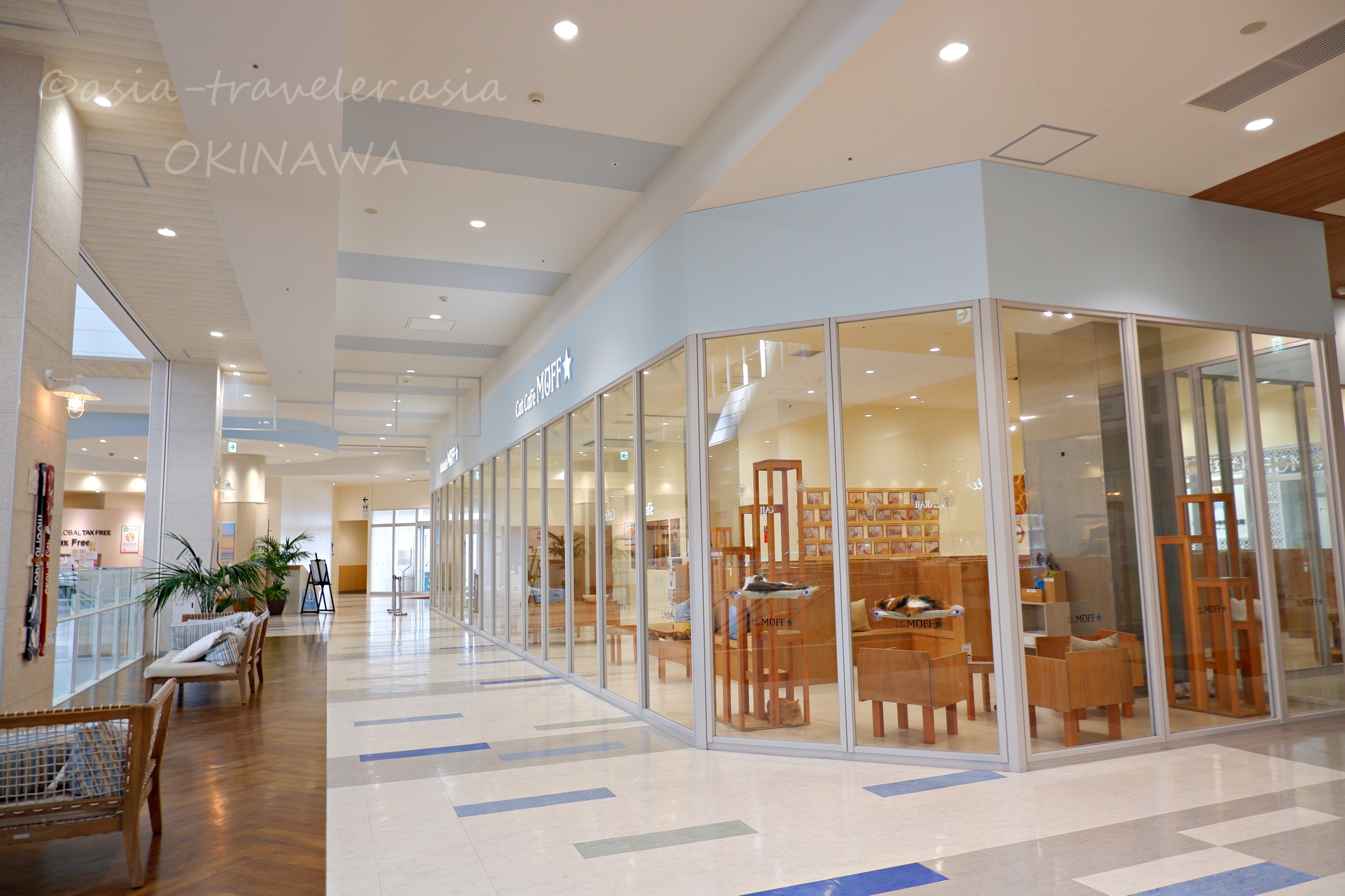 イーアス沖縄豊崎2階のCat Cafe MOFF店内入口