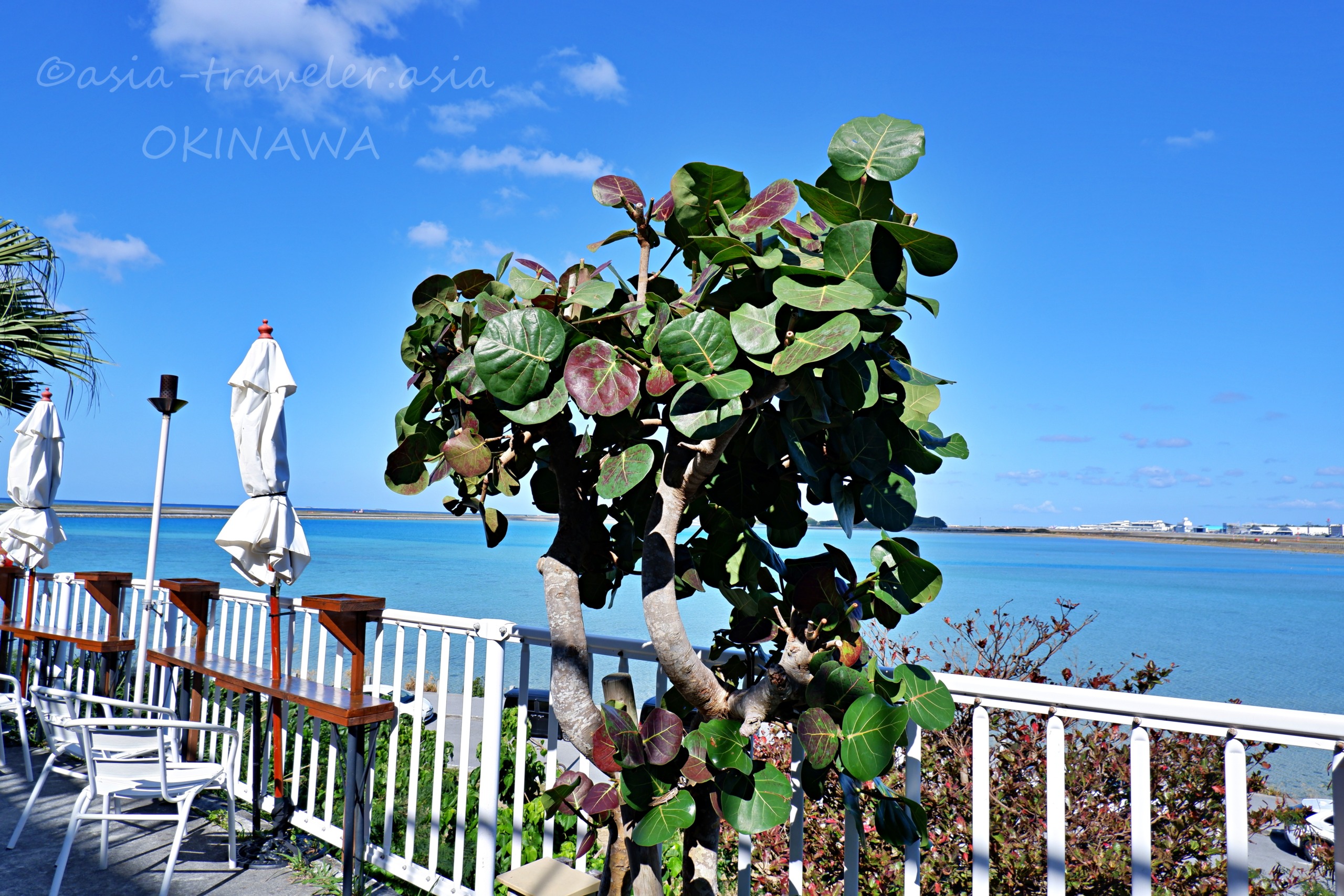 沖縄・ウミカジテラスのテラス席と青い海