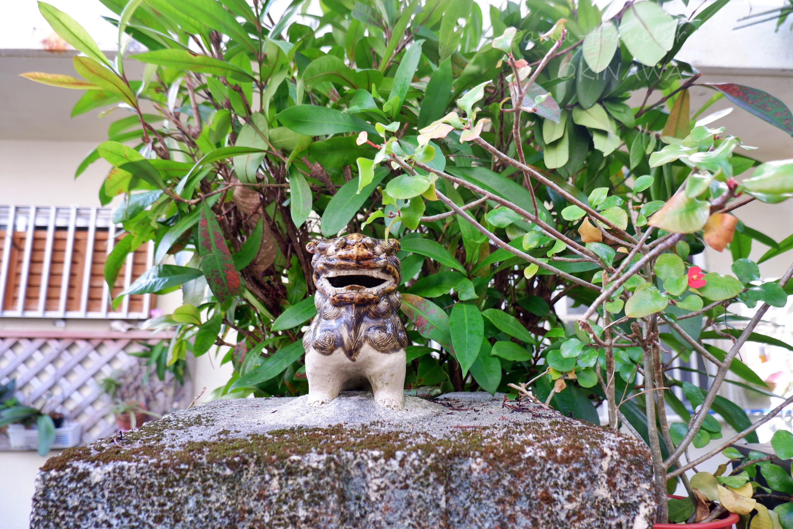 沖縄の石垣の上に置かれた陶製シーサー