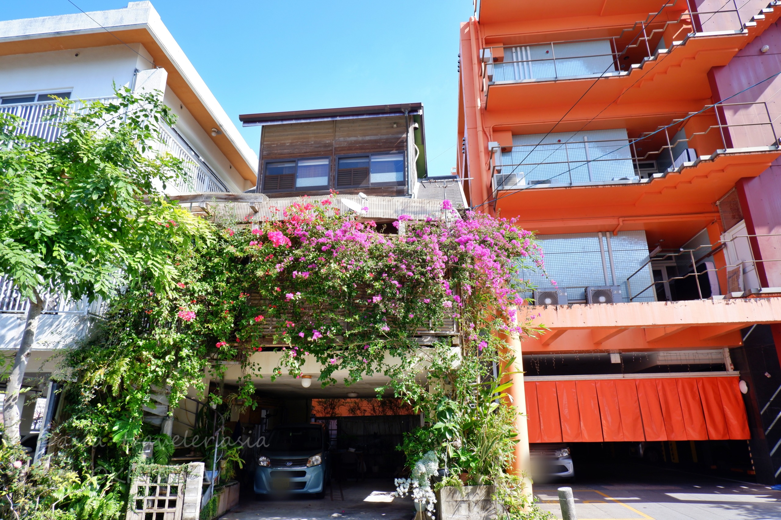 那覇久米でブーゲンビリアが咲く南国らしい街並み