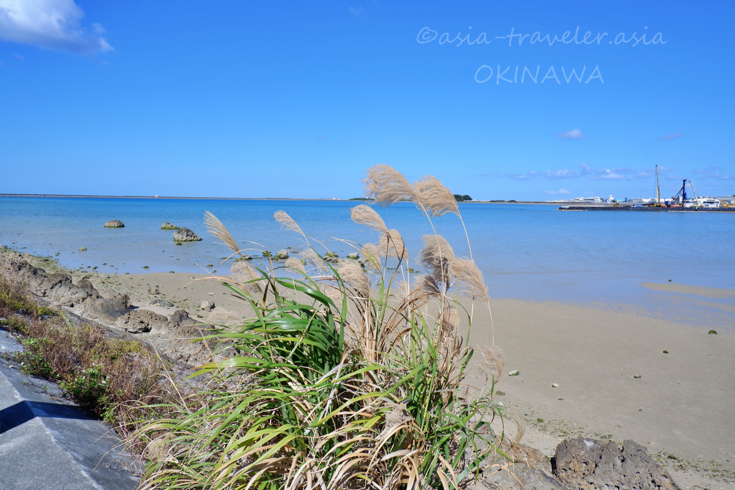 瀬長島の青い海とススキが揺れる穏やかな海岸