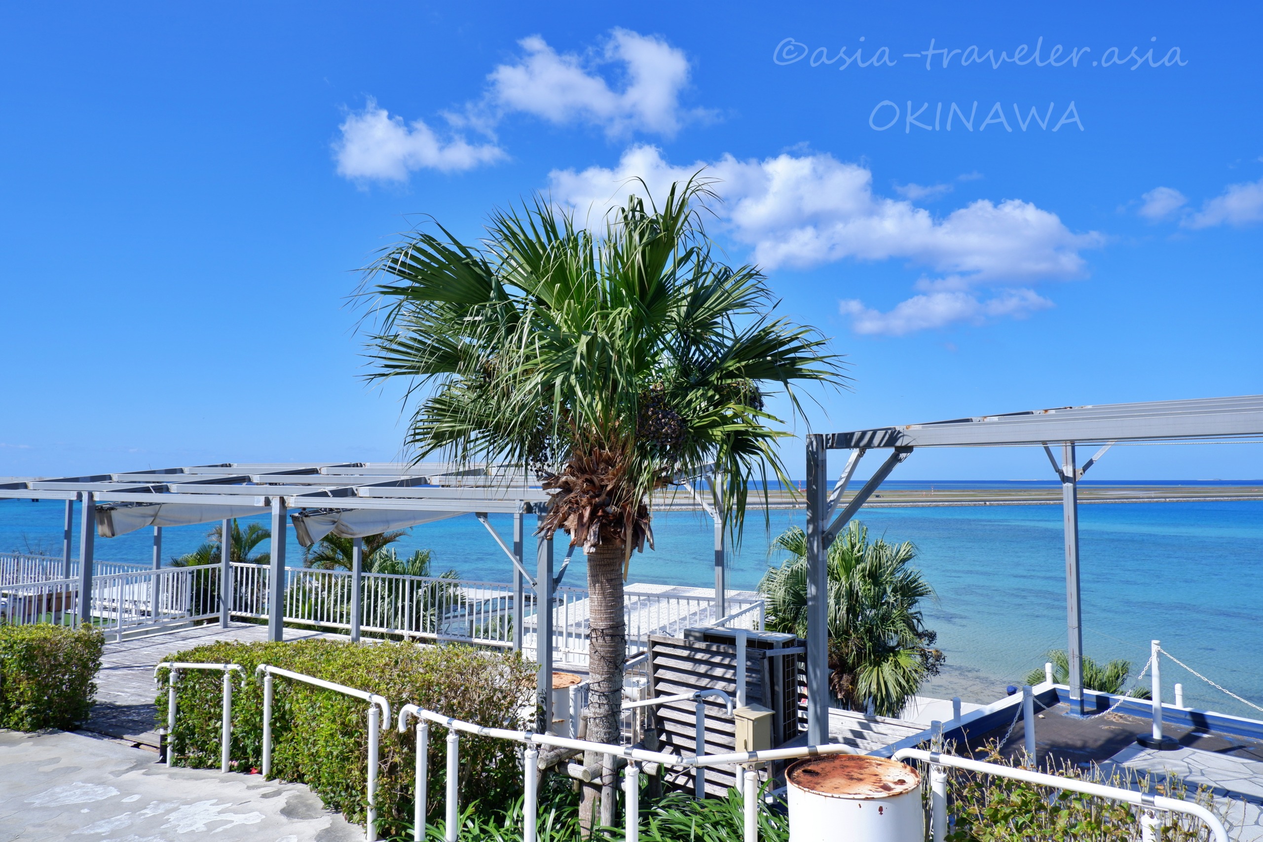 沖縄・ウミカジテラスのヤシの木とエメラルドブルーの海