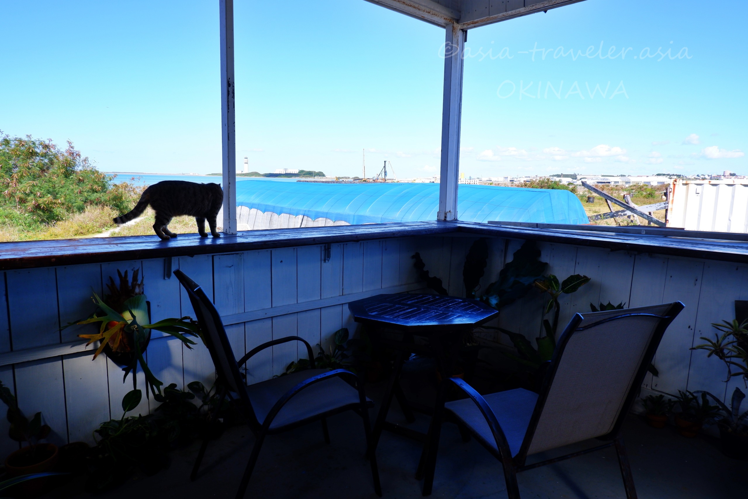 瀬長珈琲テラス席でくつろぐ黒猫と海の眺め