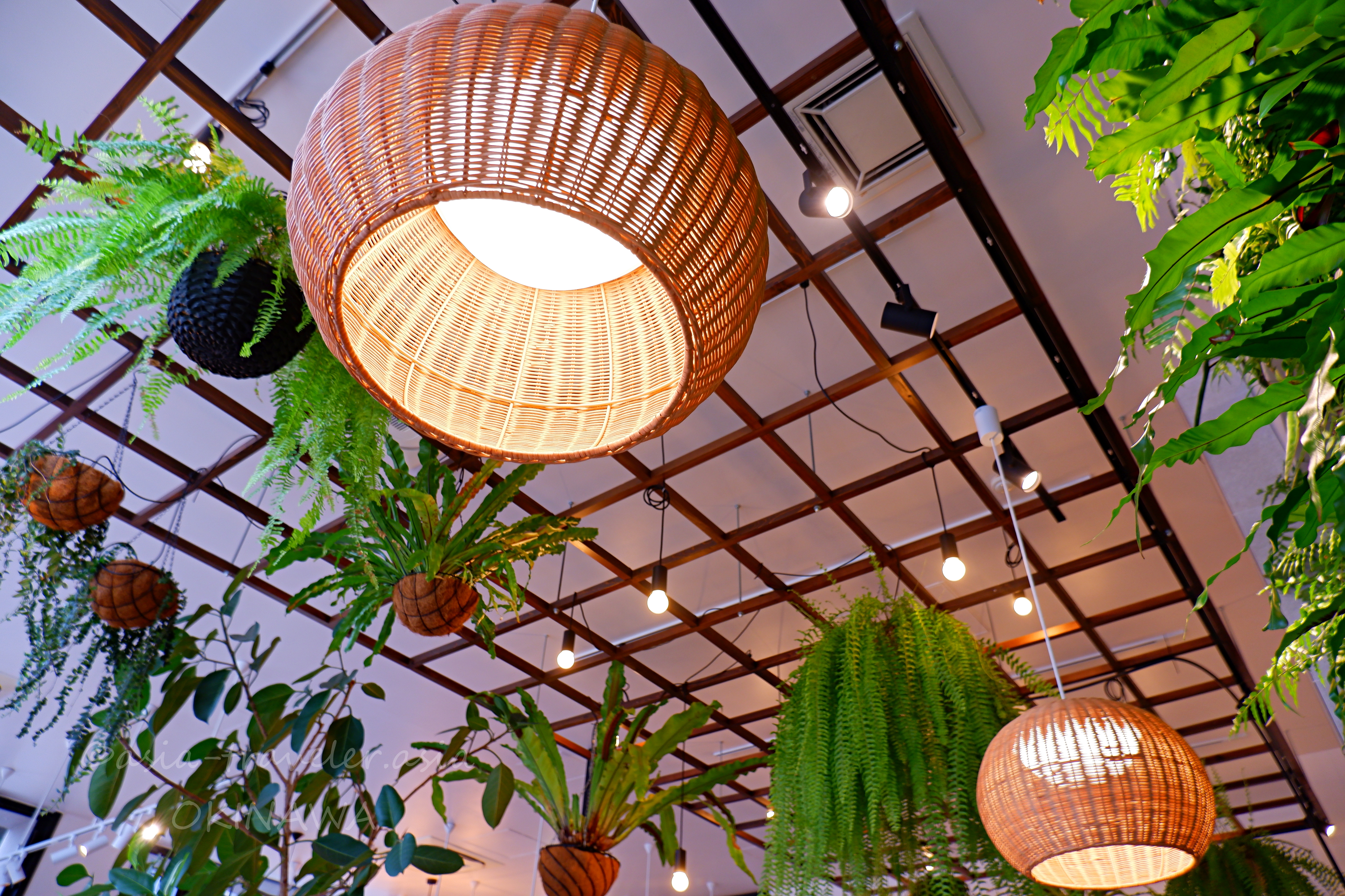 GREEN&CAFEの天井を彩る籐製ペンダントライトと吊り下げグリーン