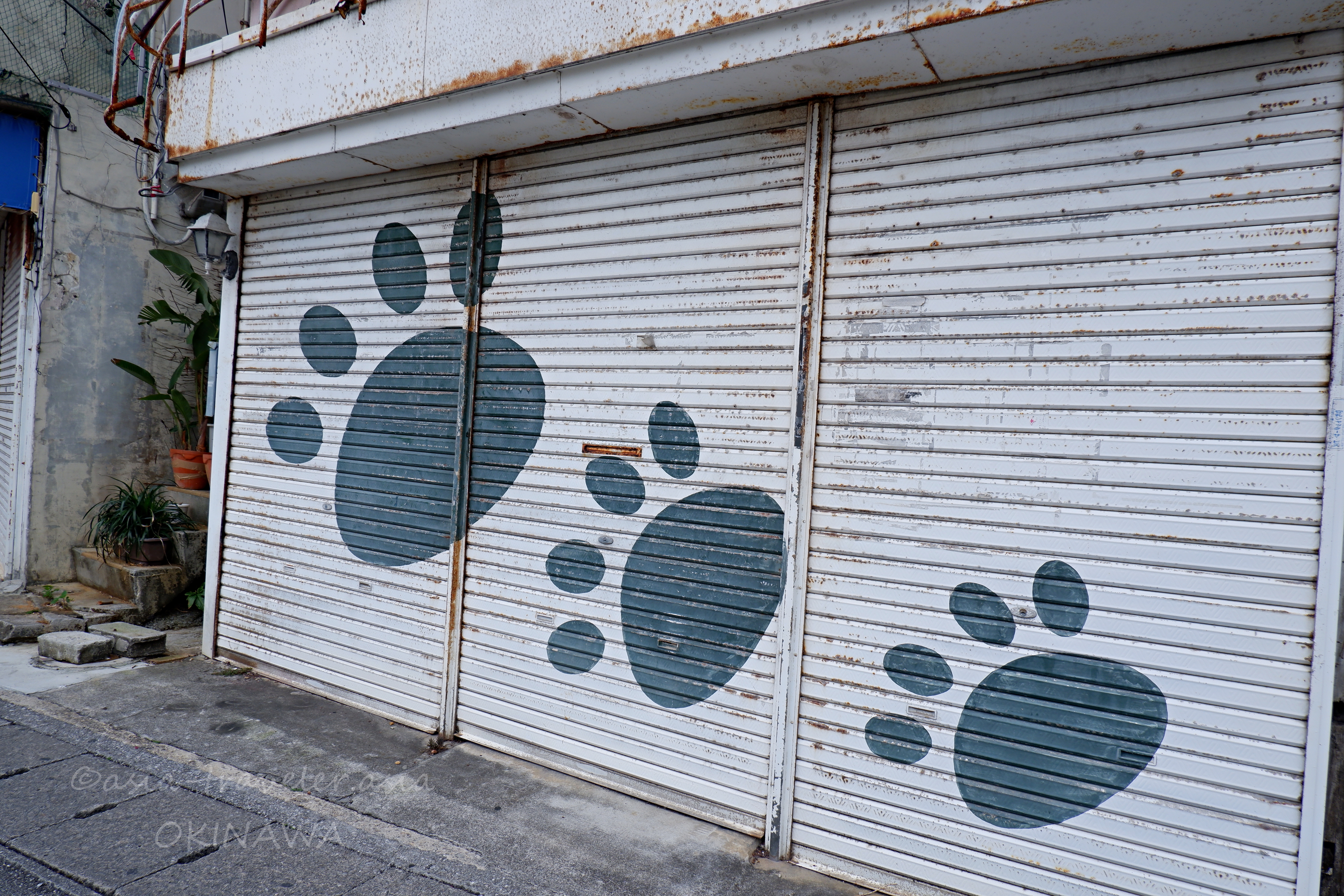 沖縄・泉崎の路地に描かれた肉球アートのシャッター