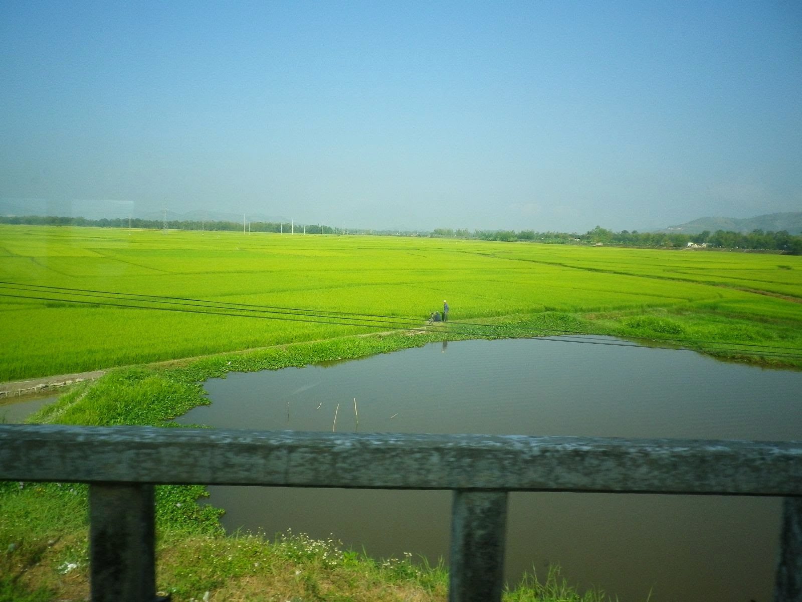 バスの車窓から見えるベトナムの水田と農村風景