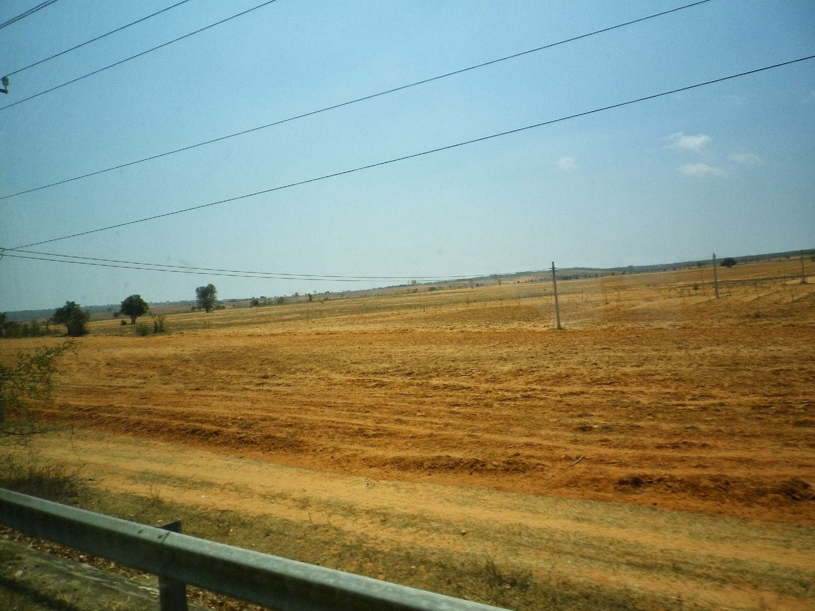 ベトナム内陸部のサバンナのような赤土の荒野