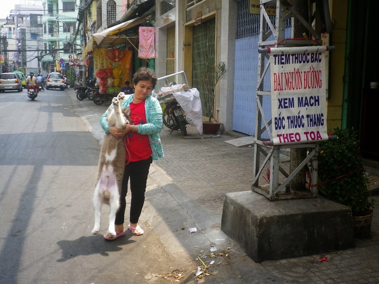 チョロンの路上で猫を縦に抱える女性