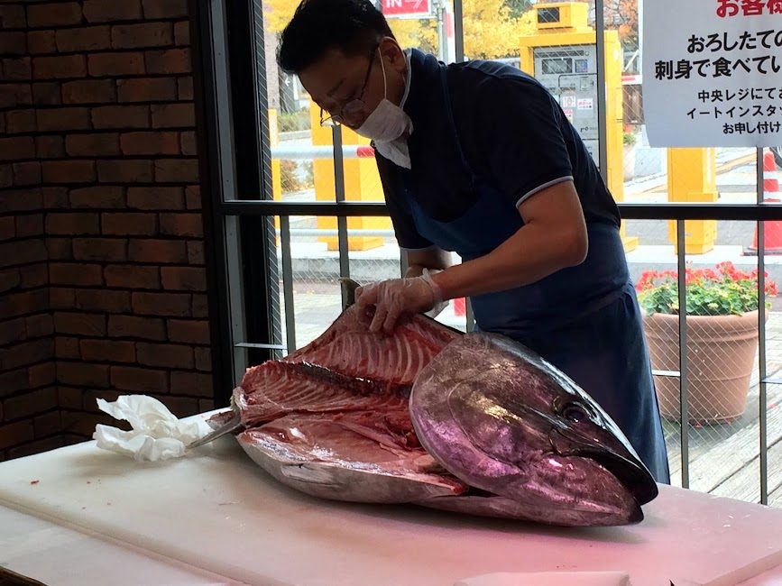 職人が対馬産本マグロを解体する様子