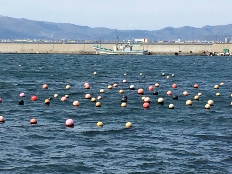 函館港に浮かぶカラフルな丸いブイと漁船