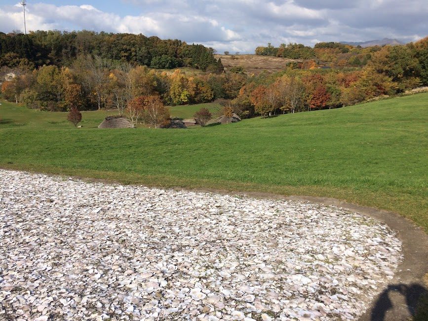 秋紅葉の貝塚公園に広がる大量の貝殻と竪穴式住居跡