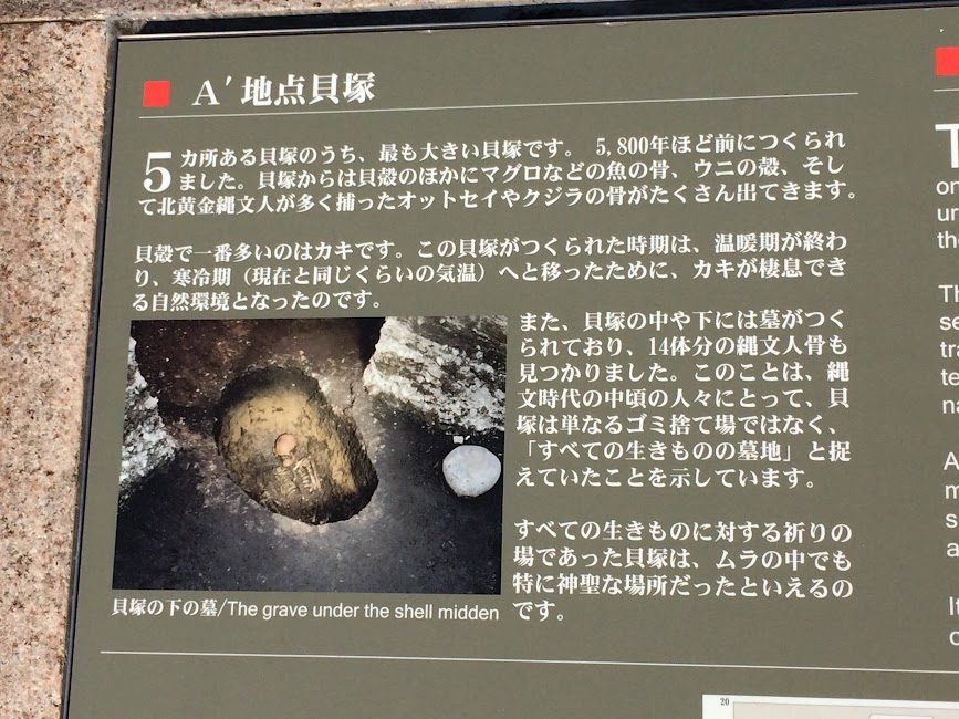 A′地点貝塚の縄文人骨出土を示す説明板