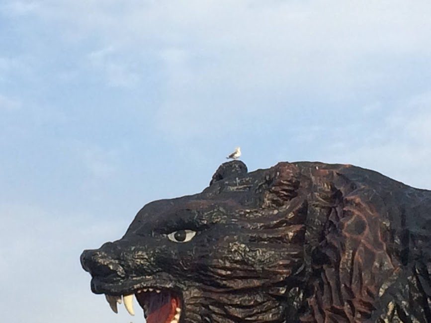 苫小牧の巨大トラ像の頭上に鳥が佇む